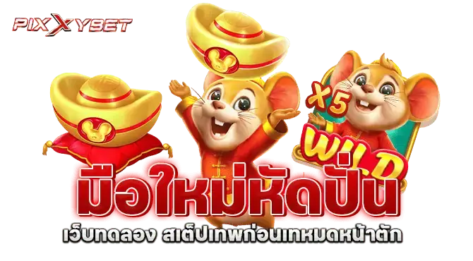มือใหม่หัดปั่น เว็บทดลอง สเต็ปเทพก่อนเทหมดหน้าตัก